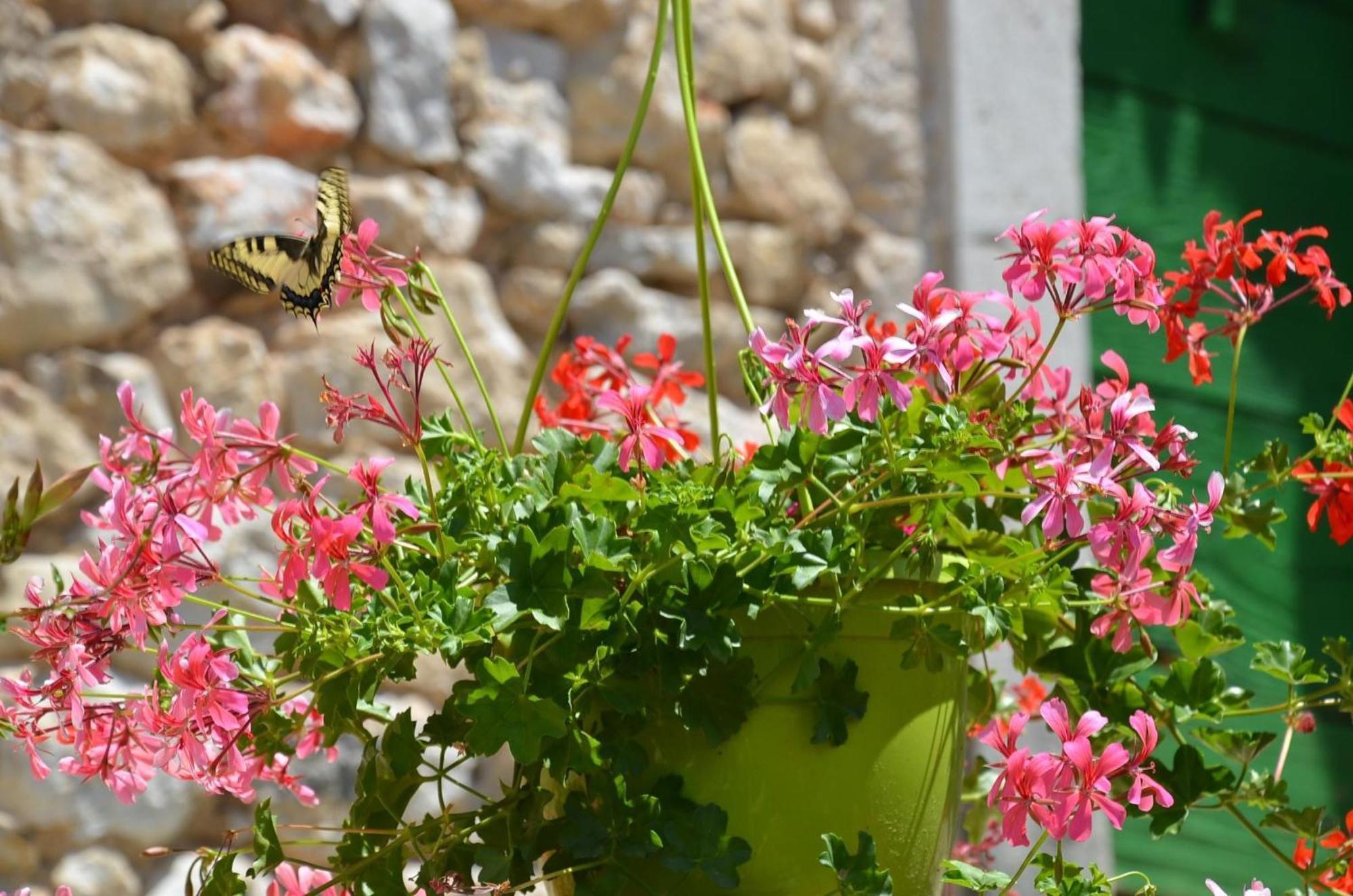Grosses Ferienhaus Mit Eigenem Pool Und Terrasse Crikvenica Exterior foto